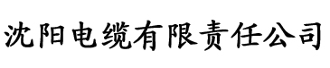 在线久久大香蕉电缆厂logo